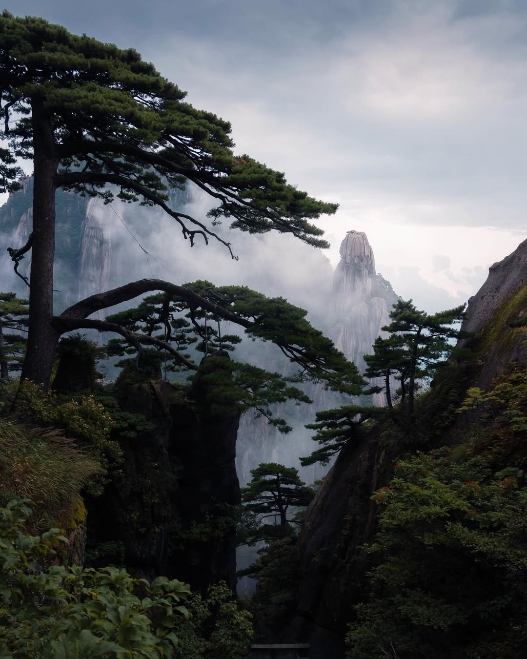 Yellow Mountains
▪️
#hellofrom #chinatravel #yellowmountain #黄山
———————————————————————
Photo by @wim.solheim
————————————————————————
Selected by @smile.shiu
Tag @Chinadestinations and use hashtag #Chinadestinations to be featured.
————————————————————————
小红书 Red Note: Chinadestinations
————————————————————————
Welcome to join our Wechat group to meet more Instafriends.
By Adding Official Wechat Account 【InstaCN】to reply 【group】
————————————————————————
搜索微信公众号【InstaCN】，回复【入群】结识更多Instafriends
————————————————————————
#chineseculture #travelblogger #travelguide #earthfocus #passionpassport #travel #travelchina