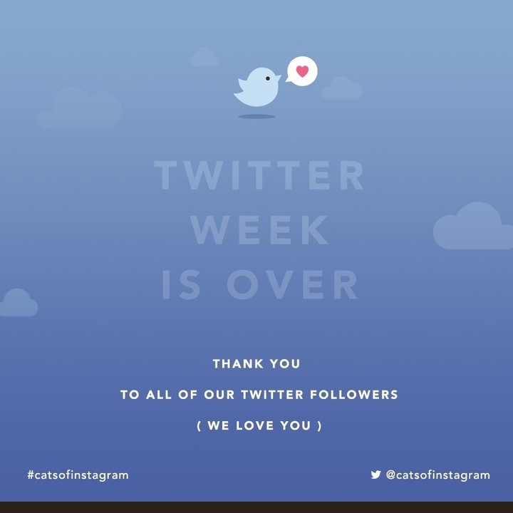 Posts from this week have been brought to you by Twitter Week! 𝐃𝐢𝐝𝐧’𝐭 𝐠𝐞𝐭 𝐬𝐞𝐥𝐞𝐜𝐭𝐞𝐝? You can still submit through our hashtag, #catsofinstagram or website (link in bio)! 🐱🔮