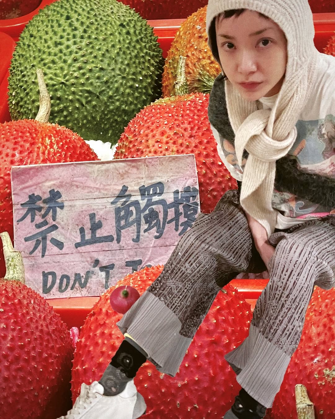 A homeward Quest ：木鱉果 📍