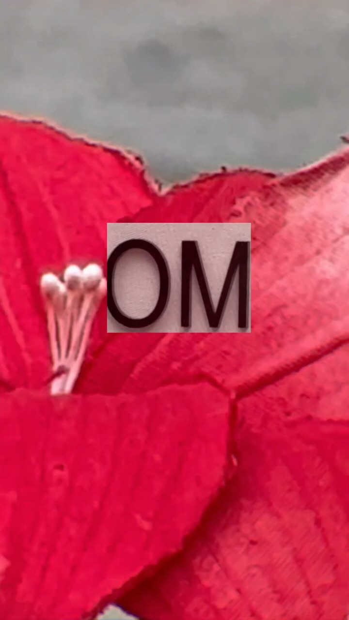 ·runway-take away the spring·
🎒🔍🌏
#thombrowne