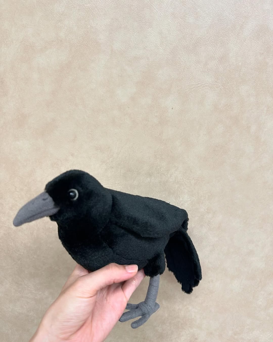 🐦‍⬛

花まんま、4月25日からです🌸