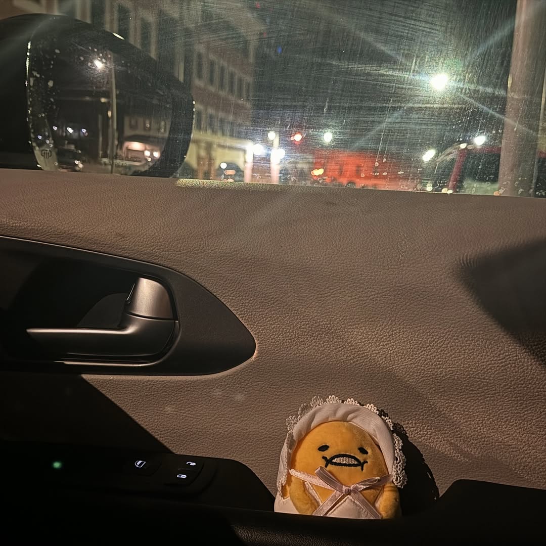 year 💨 moving 💨 fast 💨