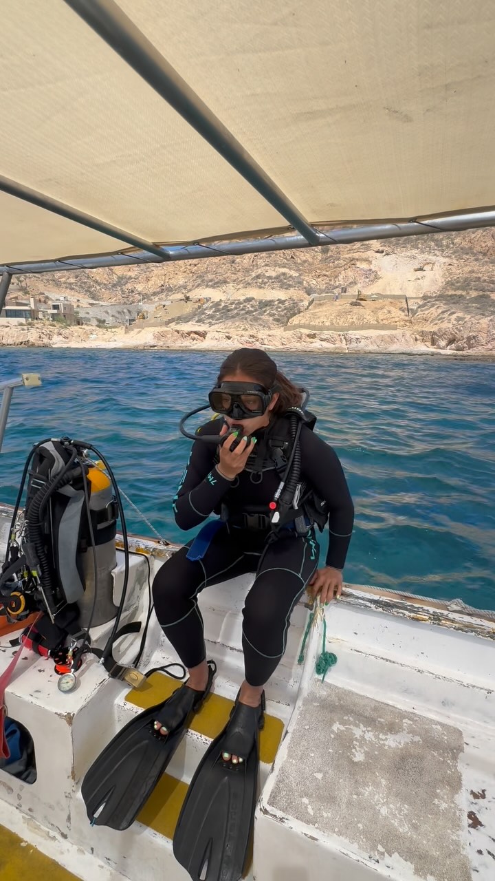 Brb I’m off to cuddle puffer fish 🐡🏝️