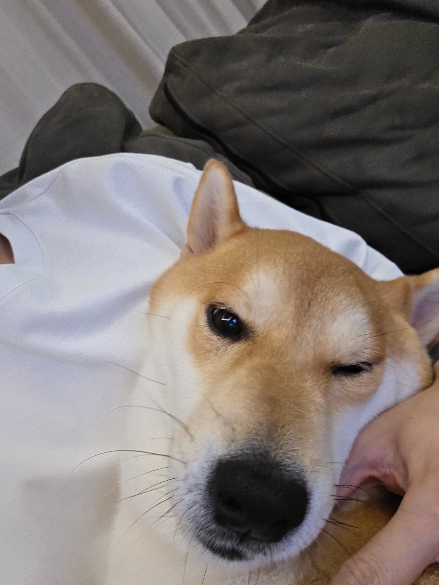 ฟันขาววันที่1