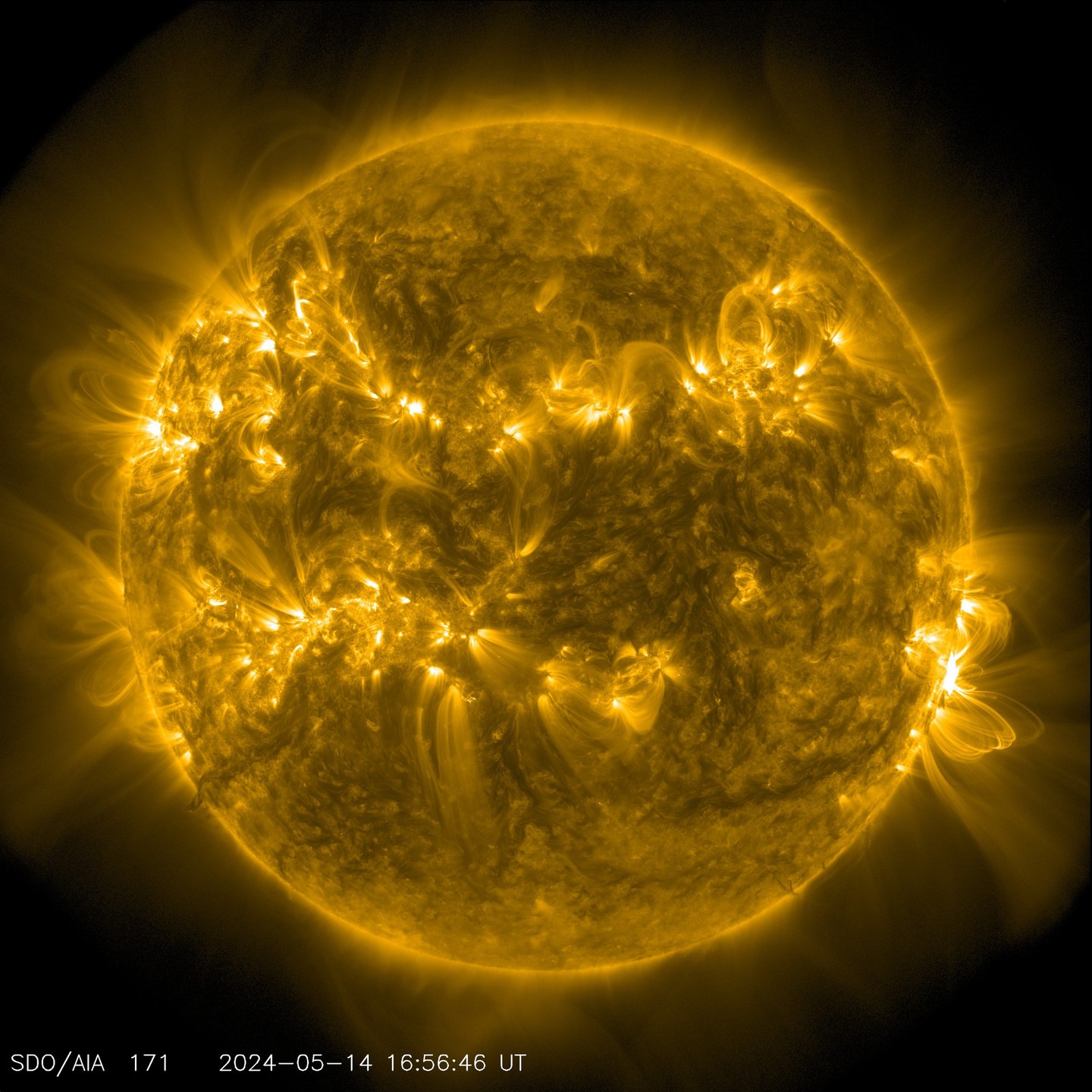 Here comes the Sun(-studying spacecraft)
Here comes the Sun
And I say, "it’s alright"...

...if you’re curious about two new NASA missions! Launching later this month, they will study bursts of solar energy that can impact technology and astronauts exploring space.

When the Sun’s magnetic fields reconnect and create a solar flare, it sends out streams of charged particles. NASA’s Interstellar Mapping and Acceleration Probe, or IMAP, will track this solar wind as it reaches the boundaries of the solar system and interacts with the local galactic neighborhood beyond.

IMAP will also be able to help provide real-time observations of the solar wind as it approaches Earth, providing about a half-hour’s warning of harmful radiation for spacecraft and astronauts. As Artemis astronauts venture beyond Earth’s magnetic protection to the Moon and Mars, IMAP’s data becomes ever more crucial to fill in missing puzzle pieces that will help mission planners predict and mitigate the effects of space weather. 

It will share a ride to space with NASA’s Carruthers Geocorona Observatory. Carruthers will use its post nearly a million miles from Earth to view the exosphere, our home planet’s outermost atmospheric layer that plays a role in space weather.

These two spacecraft will be the latest in a fleet that keeps watch for flares like the one seen in this Solar Dynamics Observatory image, captured on May 14, 2024.

Image description: The image shows the Sun, with the bright flash of a solar flare on the right standing out against the yellow outline. Other bright spots and loops of plasma appear across the surface. At the bottom left, superimposed text identifies the wavelength used by the Solar Dynamics Observatory to capture the image — 171 angstroms — and the date and time.

Credit: NASA/SDO

#NASA #Sun #Space #SpaceWeather #SolarSystem