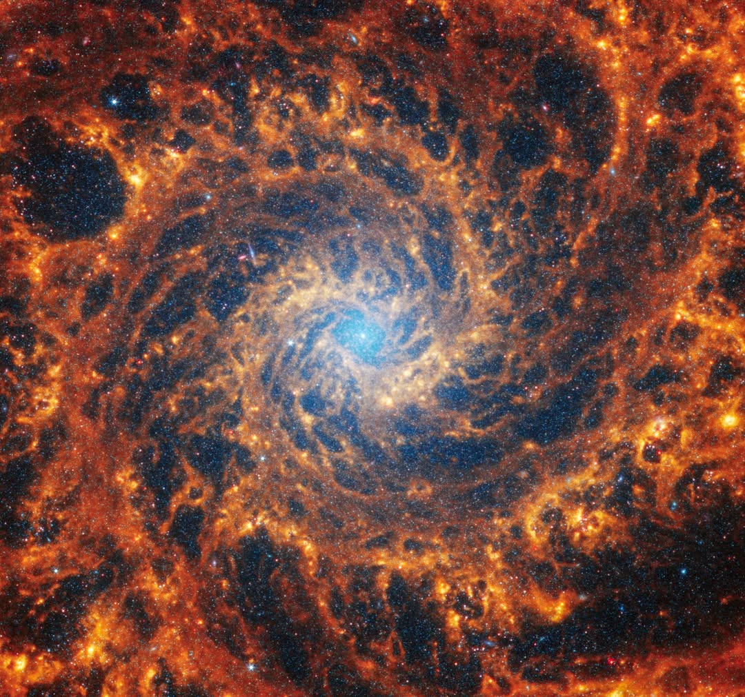 A cosmic phantom spiral 🌀

Our @NASAWebb telescope, studying the universe from its vantage point a million miles from Earth, captured this image of NGC 628, more informally known as the Phantom Galaxy. We're fortunate, from the viewpoint of our solar system, that the Phantom Galaxy appears face-on, allowing us to study its intricate spiral arms in great detail.

The Phantom Galaxy is 32 million light-years away, and can be found in the constellation Pisces. Visit webb.nasa.gov to check out the latest updates from NASA's James Webb Space Telescope.

Image description: An intricate net of spiral arms, in shades of red and orange, swirls towards a small, bright blue center. Blue and red dots fill the background of the image. 

Credit: NASA, ESA, CSA, STScI, Janice Lee (STScI), Thomas Williams (Oxford), and the PHANGS team

#NASA #Webb #Space #Universe #Spiral