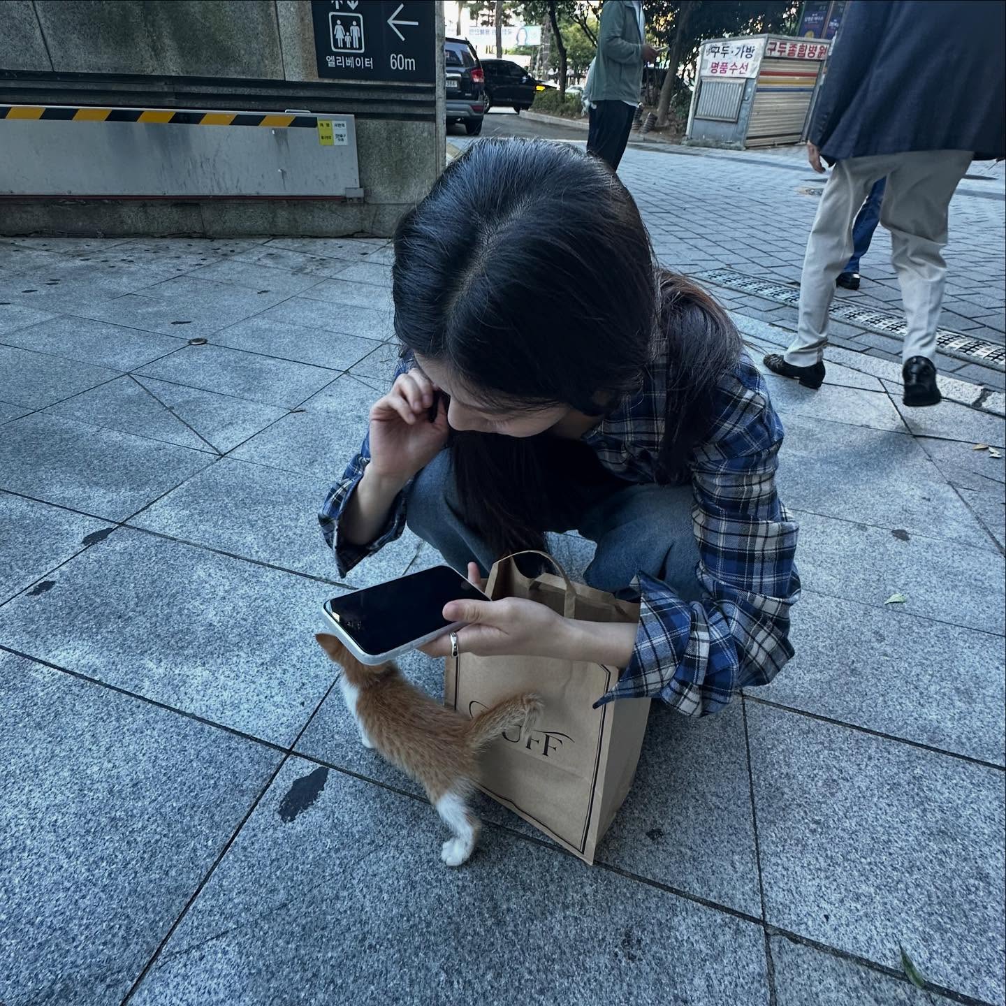 효 따라 올리기 in 부산