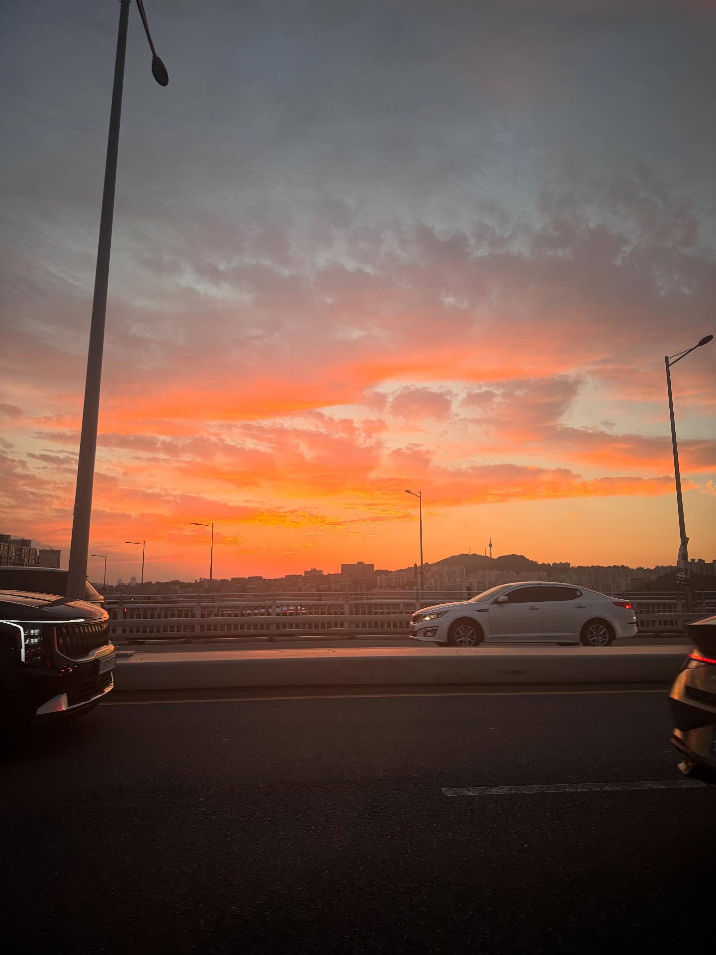 9월아 잘가 내년에 또 만나자.
