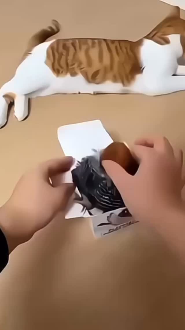 ✨LINK IN BIO 🔗 @thebeautifulshub 
“Keep your cat curious, active, and endlessly entertained 🐾✨ #FlasspyChase — where every swipe sparks joy!”
✨ 50% off offer valid only today 🔥
🌍Free shipping worldwide
⏳Limited time offer
🏷 Mega Sale

🛒Order link in bio @thebeautifulshub 

Blisstru.shop