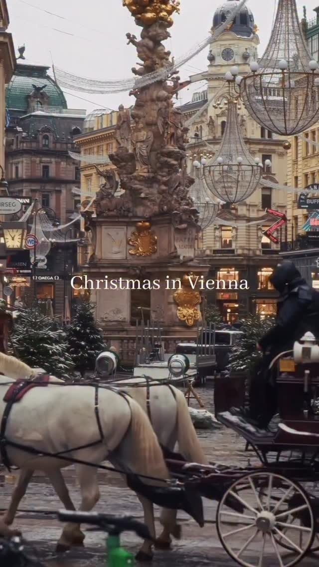 Only 54 more days until Christmas 🎅🎄
Video by: @vienna_visitas 

If you’re planning a Christmas trip to Vienna, here are the 2025 opening dates for the city’s most enchanting Christmas markets:

🎄 Christkindlmarkt at Rathausplatz: November 14 – December 26
🎄 Schönbrunn Palace Christmas Market: November 6 – January 6
🎄 Belvedere Palace Christmas Market: November 14 – December 26
🎄 Altes AKH Christmas Market: November 14 – December 23
🎄 Stephansplatz Christmas Market: November 8 – December 26
🎄 Am Hof Christmas Market: November 14 – December 23
🎄 Freyung Christmas Market: November 14 – December 23
🎄 Karlsplatz Christmas Market: November 21 – December 23
🎄 Spittelberg Christmas Market: November 14 – December 23
🎄 Wintermarkt at Prater/Riesenradplatz: November 21 – January 6

✨ Always double-check opening times closer to your trip, dates may shift slightly.

Locations:
📍 Graben
📍 Hotel Sacher
📍 Albertina
📍 Stephansplatz
📍 Rathausplatz
📍 Café Central

#vienna #austria #halfwaytochristmas #christmasmarkets #wienliebe #viennachristmas #snow #travelplanning2025 #christmascountdown #vienna_visitas