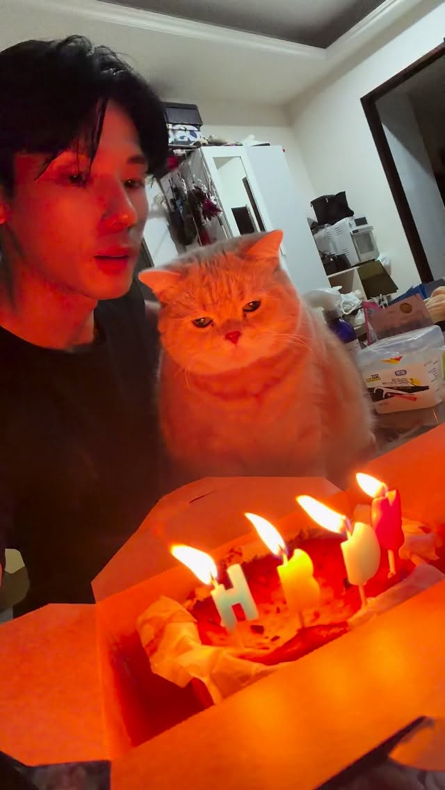 🎂 HBD我的願望就是小喵多陪我20年❤️
超好吃的流心巴斯克蛋糕！不是業配！不愛吃甜點的我都覺得好好吃，台北一家都是外國人做的店我忘記名字了😄
#🎂#猜猜我幾歲 #🐱