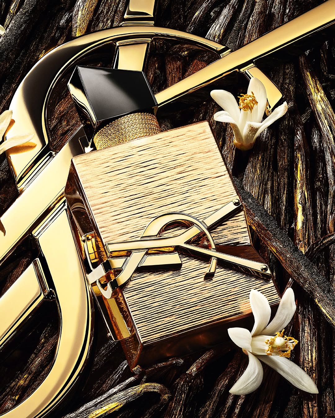 Swipe for vanilla caviar. Dipped in gold liquor. LIBRE Vanille Couture the new limited-edition scent.