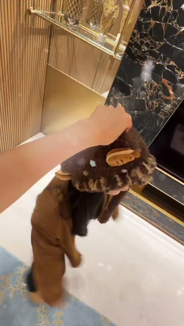 I Gotcha!💓

#TWICE #트와이스 
#NAYEON #나연 #MOMO #모모 #SANA #사나 #JIHYO #지효 #MINA #미나 #DAHYUN #다현