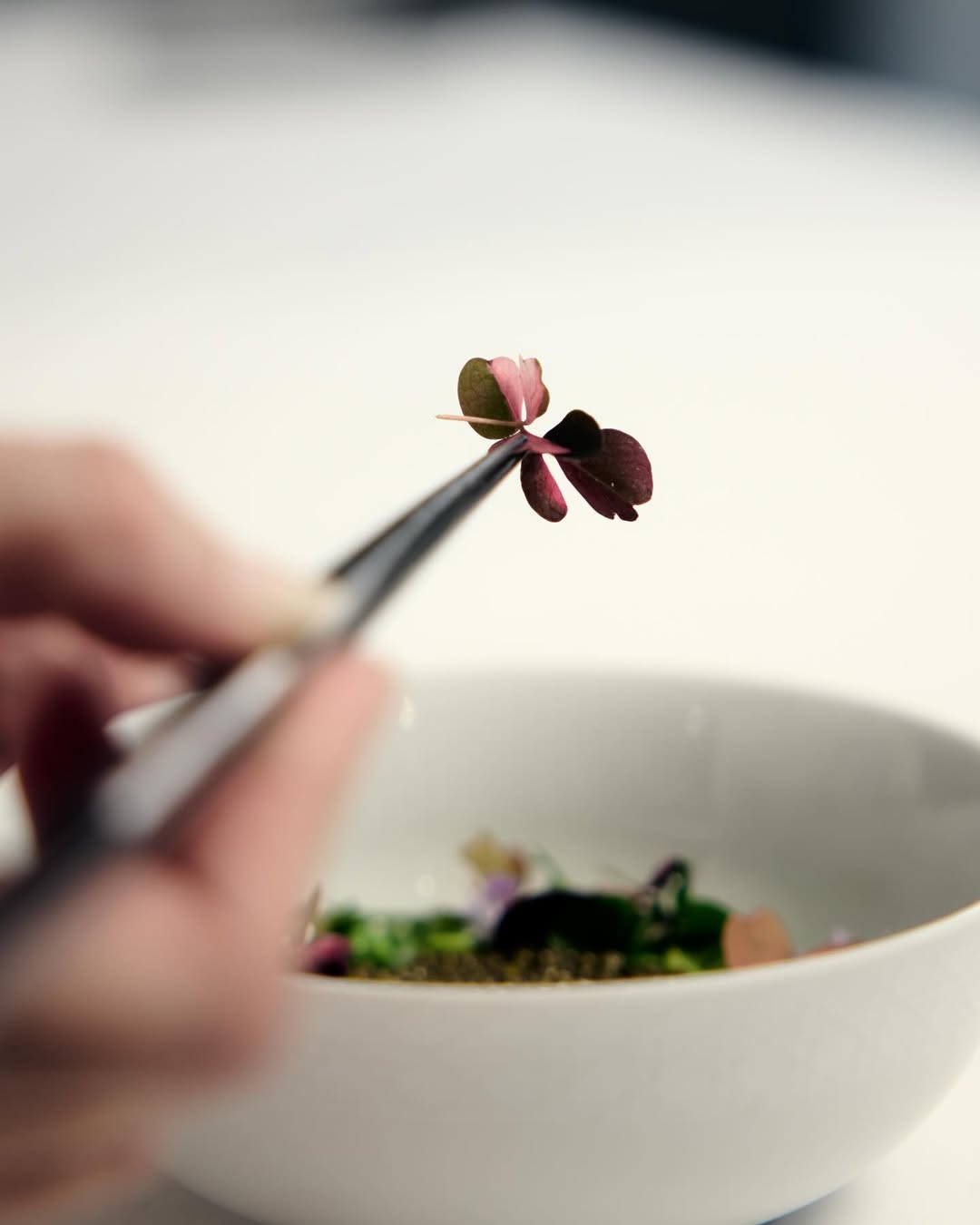 Reinterpreting the codes of haute couture in a culinary lens, Michelin-starred Chef Anne-Sophie Pic’s exquisite creations, including Les Perles and Les Berlingots, for the Monsieur Dior Restaurant in House of Dior Beijing pay homage to the universe of Christian Dior