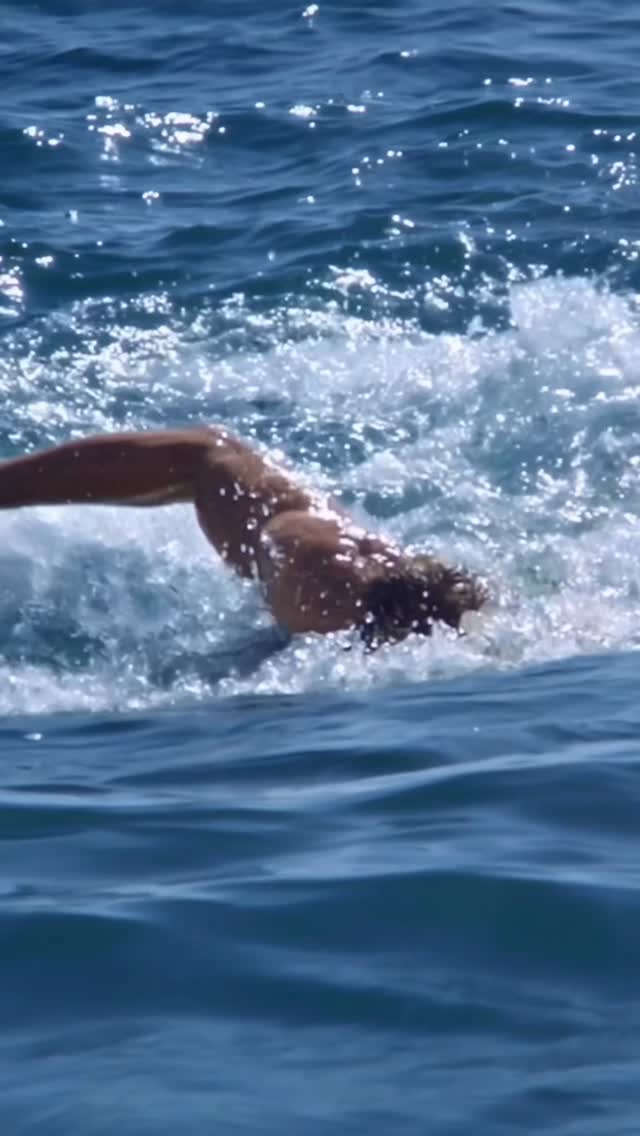 Just a Creature of My Environment 🦈