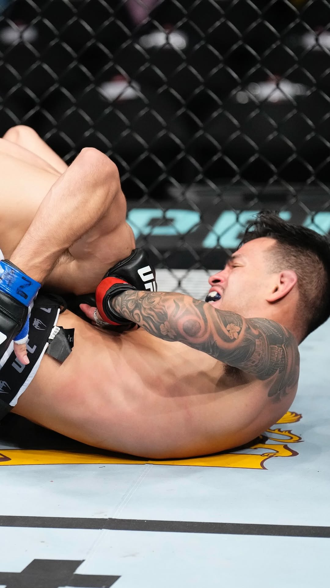 His submission game is 🔥

Can @BRoyval secure another win against a top-10 opponent this weekend?

[ #UFCVegas112 | SAT DEC 13 at 10pmET on the @ESPN app ]