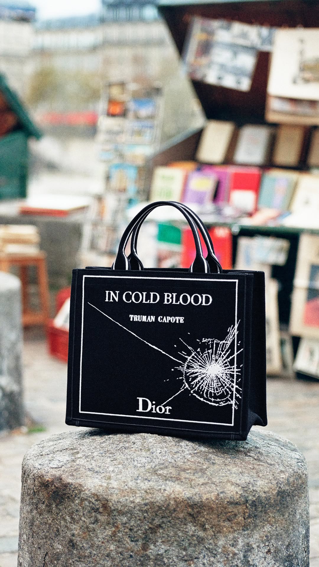 An homage to the joy of reading. 

To mark the arrival of the new Dior Book Cover Totes, we’re celebrating the literary spirit of Paris by capturing the bags among the iconic bouquinistes stalls along the banks of the Seine.