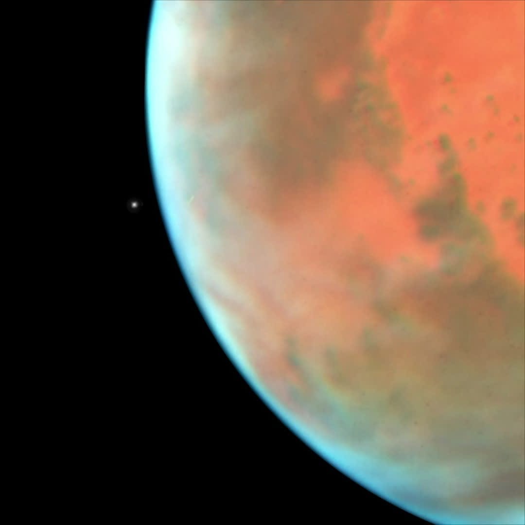 Say hello to Phobos! In this photo snapped by @NASAHubble, we were able to catch the tiny Martian moon right next to its planet, illustrating their massive size difference. Mars is about half the size of Earth, with a diameter of around 4,200 miles. Phobos is minuscule in comparison, however, measuring 17 miles in diameter at its widest point. 

Unfortunately for this little friend of Mars, you cannot spell “friend” without “end.” Like Icarus flying too close to the Sun, Phobos is moving a little too close to the Red Planet, approaching at a rate of six feet every hundred years. This means that it is set to crash into Mars in 50 million years, or break up into a ring like the ones that Saturn and Uranus have. 

But no matter what happens, Mars will not be doomed to loneliness. Mars has another moon in addition to Phobos, named Deimos. Both are thought to be captured asteroids and have a lumpy, irregular shape—unlike larger, spherical moons. Out of the two tiny Martian moons, Phobos is the largest, with Deimos only measuring nine miles at its widest diameter. 

Image description: An image of Mars next to its tiny moon against the backdrop of black space. The brown and red body of Mars dominates the right half of the photo, cut off so that only about a quarter of the full planet is visible. The single star-like dot next to Mars is Phobos. 

Credit: NASA 

#NASA #Hubble #Mars #Space #SolarSystem #ShortGirlProblems