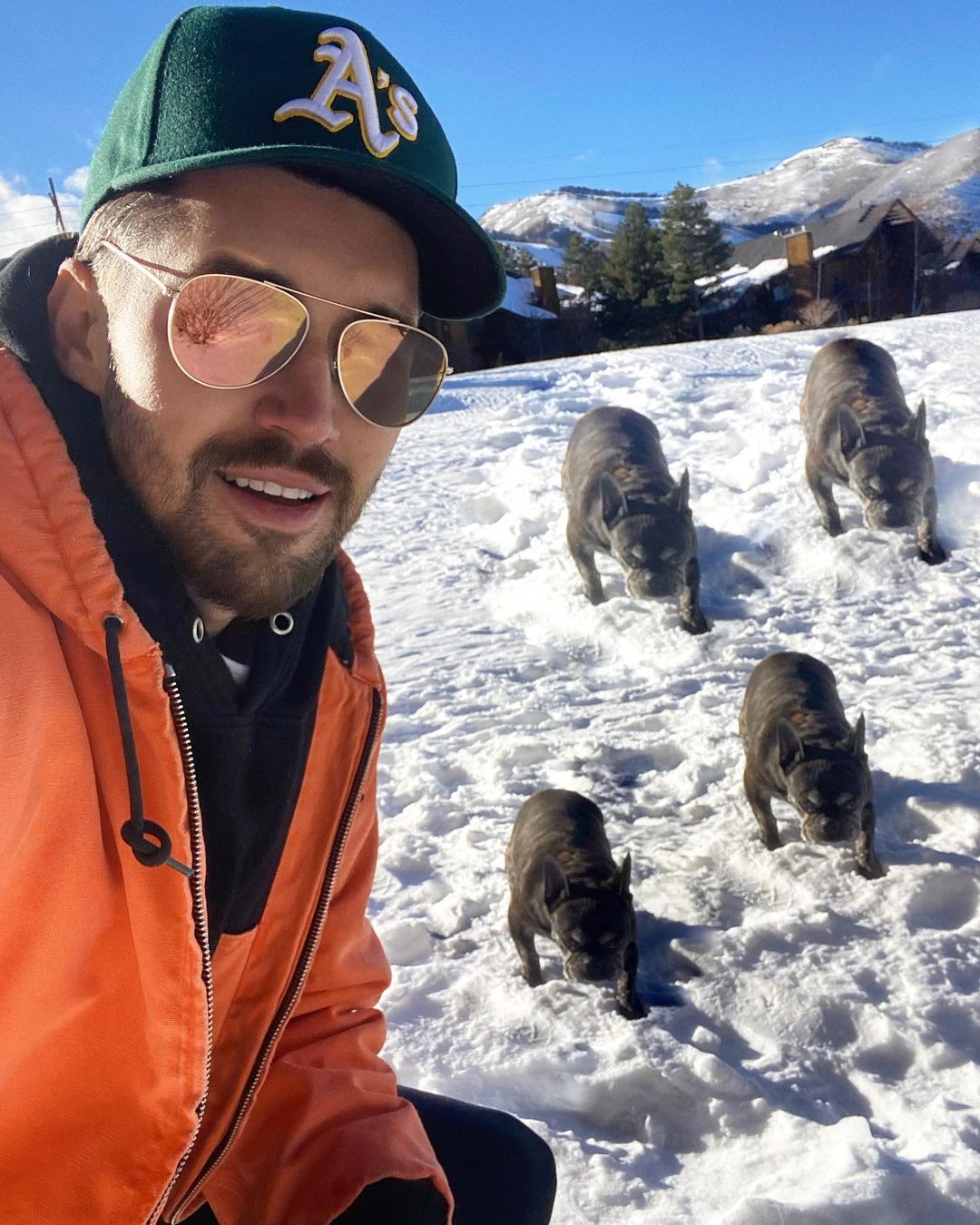 Moved up to the mountains to start a dog sled team. I’ll be here till the heat dies down.