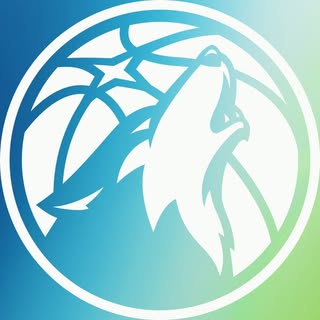 明尼苏达森林狼队