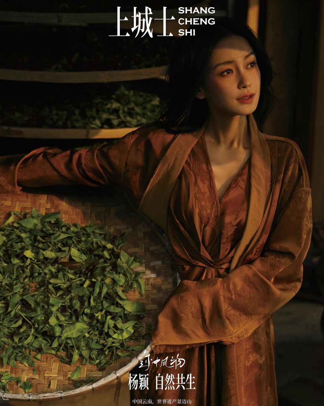 自然让我们无比亲近 #景迈山
#jingmaimountain #blang
@shangchengshi_official
在凤凰花开的路口 遇到一群可爱的人