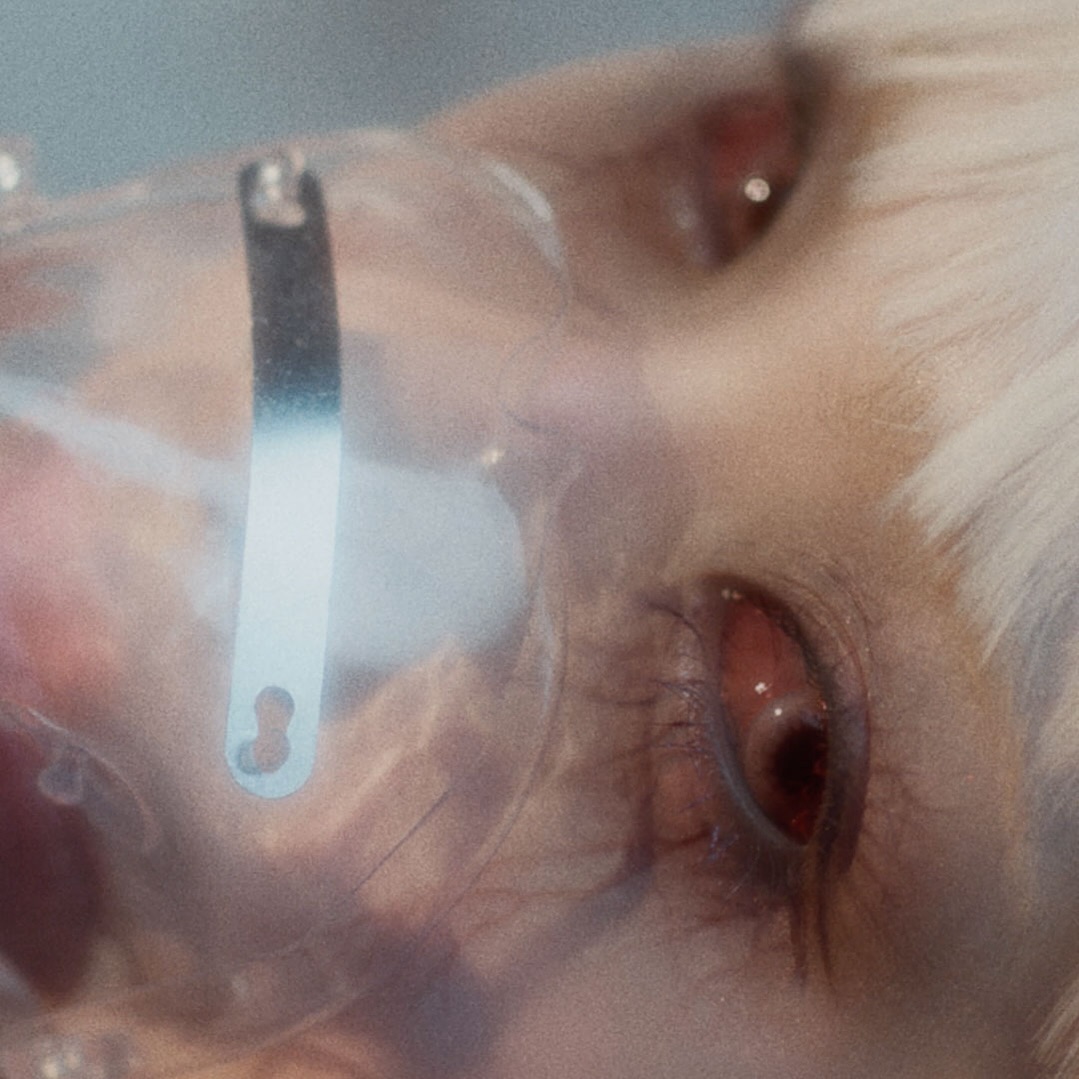 EVERGLOW
5TH SINGLE ALBUM

[ZOMBIE]
ZOMBIE M/V TEASER

▶ https://youtu.be/isrsyjuw8Oc

2024. 06. 10 6PM (KST)

#EVERGLOW #에버글로우
#ZOMBIE
#이유 #시현 #미아 #온다 #아샤 #이런