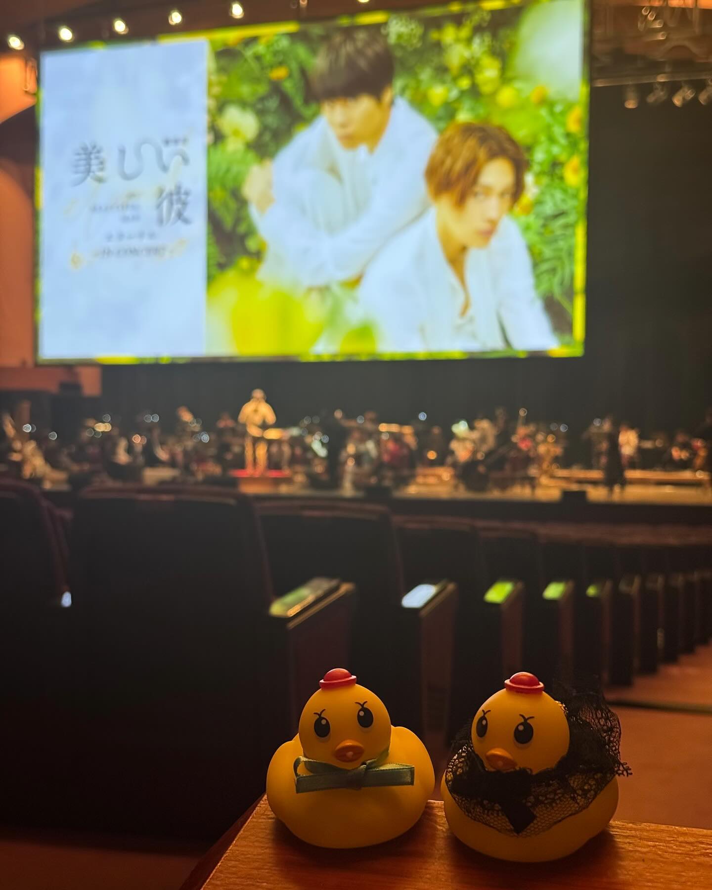 .

本日 #美しい彼シネコン 📢🐥👑

会場では皆さまをお迎えする
準備が整いました🥂⋆*

ひと足先に･･･
会場とフォトブース、
Vポイントブースの写真をおすそわけ📸

ご来場お待ちしてます💌 ̖´-

▼U-NEXTでは独占ライブ配信
https://video.unext.jp/livedetail/LIV0000007371

#メリークリスマス