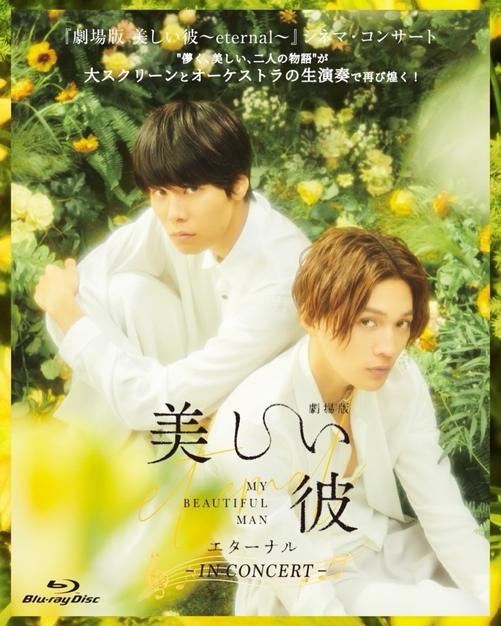 .

꙳⋆

『劇場版 美しい彼～eternal～』
 シネマ・コンサート𝐵𝑙𝑢-𝑟𝑎𝑦
  𝟐𝟎𝟐𝟓年𝟒月𝟗日(水)発売🥂

萩原利久の会場ナレーション
収録の裏側や舞台裏映像、
ブックレットなど特典もたっぷり🐥👑⋆*

🔗詳細はこちらから
https://www.culture-pub.jp/news/555/