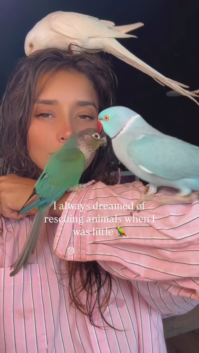 Nani Ventura 🦜🩵🌸🕊️✨ #Day9