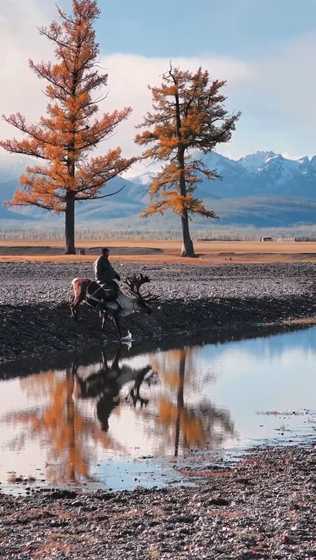 Tsaatan nomads  in Mongolia