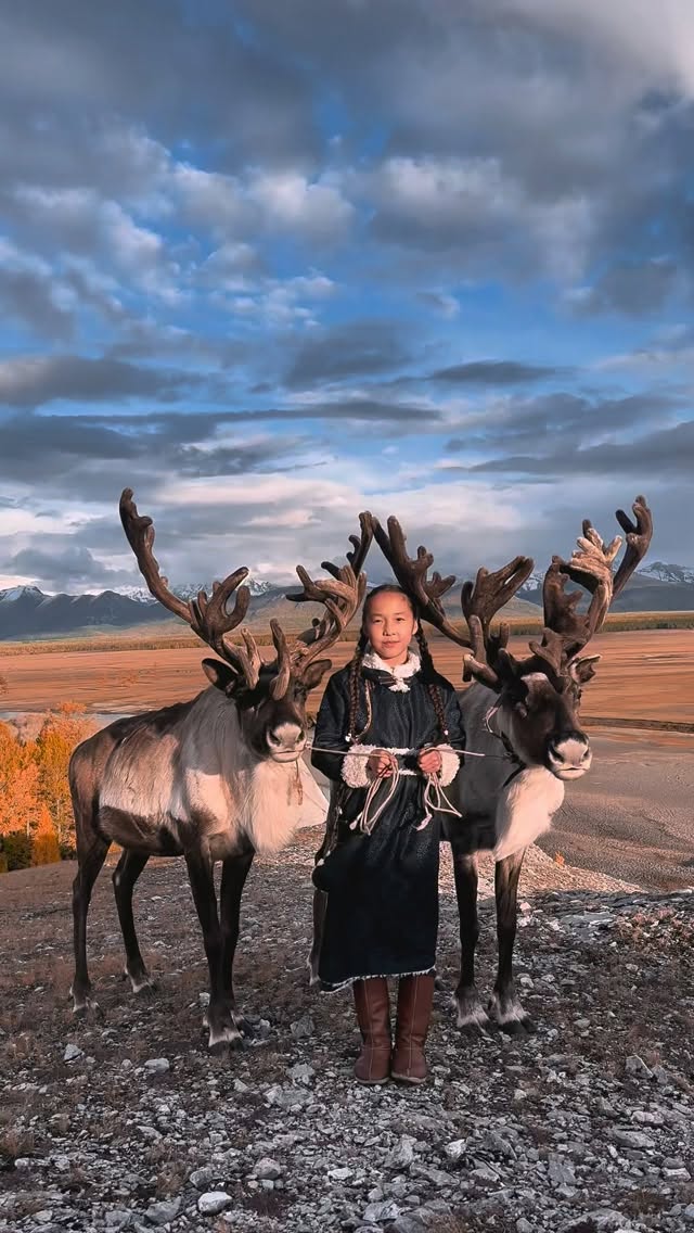Traveling with Tsaatan reindeer nomads in Mongolia 🇲🇳