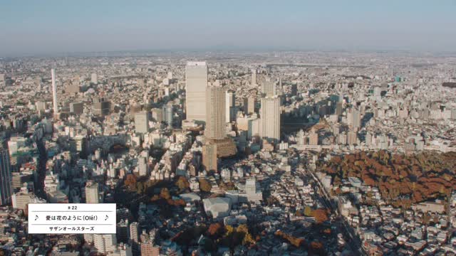 パ！！っとパフテック🕊️
あったかくしておでかけください🍂