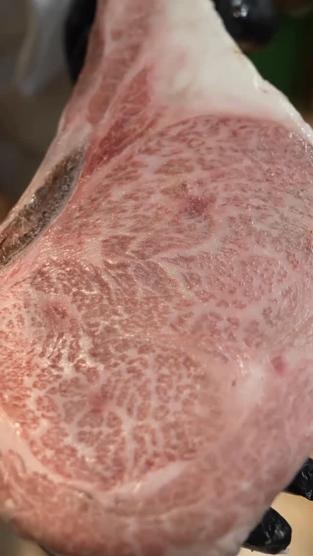 Better than best #saltbae #saltlife #salt