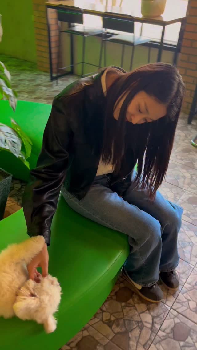 🐤🌻🍌🍯🔆🍍🚖📒🌽