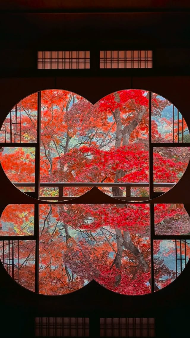 Kyoto has a very special charm under the rain. This morning in Yusai-tei ❤️🇯🇵 #japan #kyoto