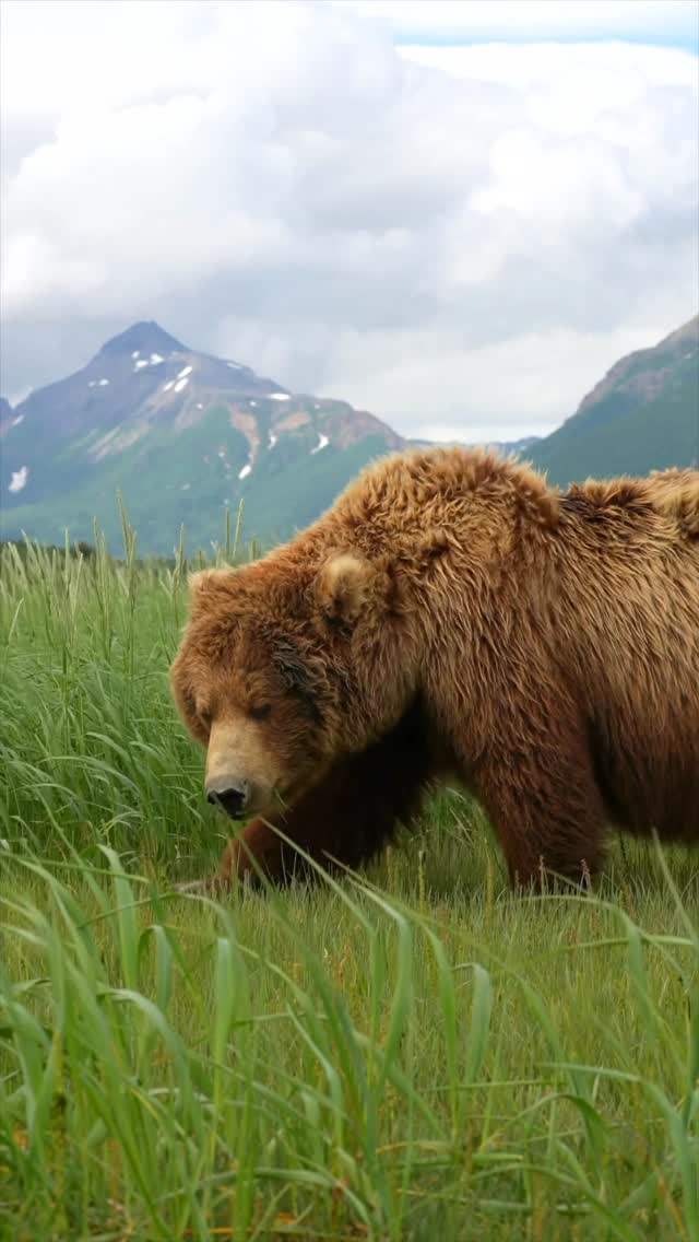 An exceptionally beautiful moment