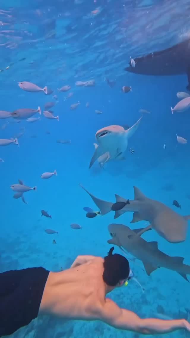 ใครมีแพลนไปเที่ยวต่างประเทศ อย่าลืมเข้าไปกดดู Alipay+ Travel Bonanza ใน True Money กันนะครับ จะได้ไม่พลาดรางวัลใหญ่!!

@alipayplus #TravelBonanza #Alipayplus #RoadToAMillion #Truemoney