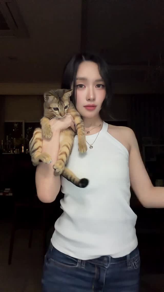 : us at midnight 🕛 

#lookkaewkamollak 
#cat #babyCroissant