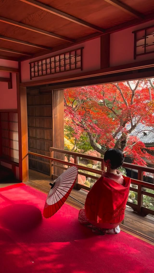 One incredible temple on a sunny autumn day in Kyoto 
Thank you @marron_0826 for your patience and wonderful kimono modeling for our photography workshop group 🙏💚
#kyoto #japan