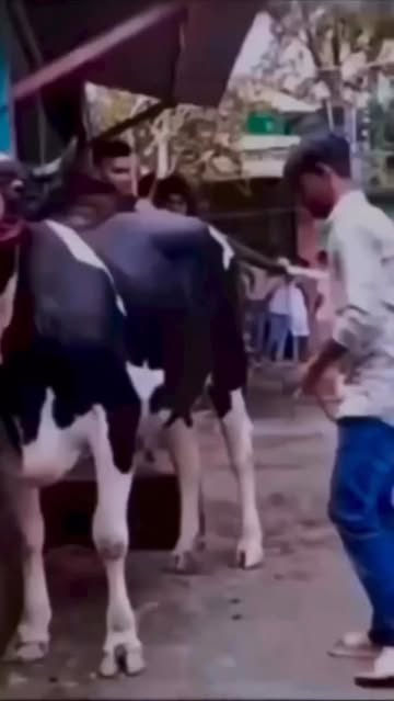 아아얏 아아얏 아야💥 (🎥 by 01즈)

ITZY 3RD WORLD TOUR <TUNNEL VISION> in SEOUL
📅 2026.02.13 - 2026.02.15
@ JAMSIL INDOOR STADIUM

#ITZY #MIDZY 
#ITZY_TUNNELVISION
#ITZY_TNVS
#ITZY_WORLD_TOUR