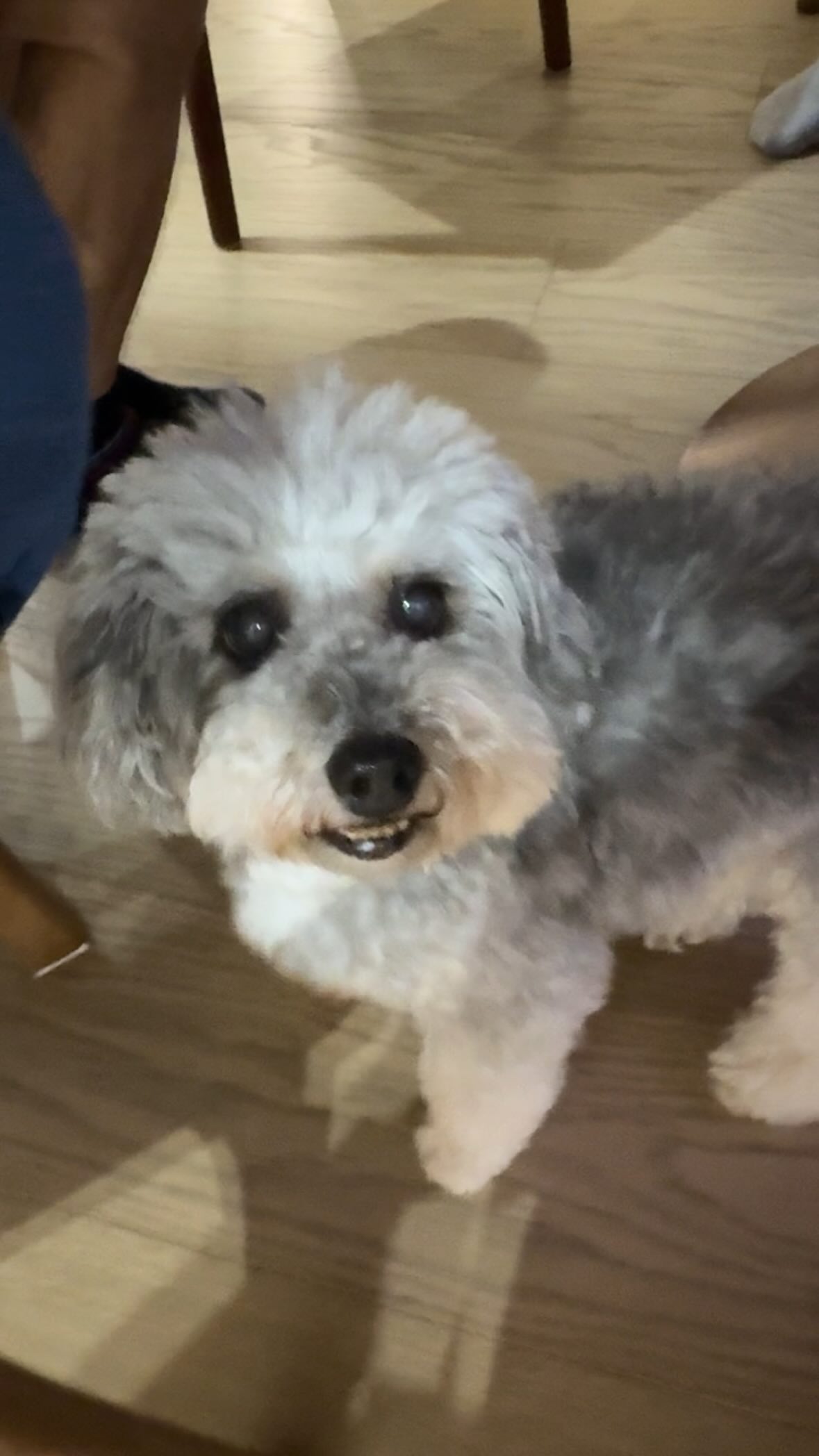 中秋快樂 🌕✨🥂
#秋葉緣 10/10 🍁