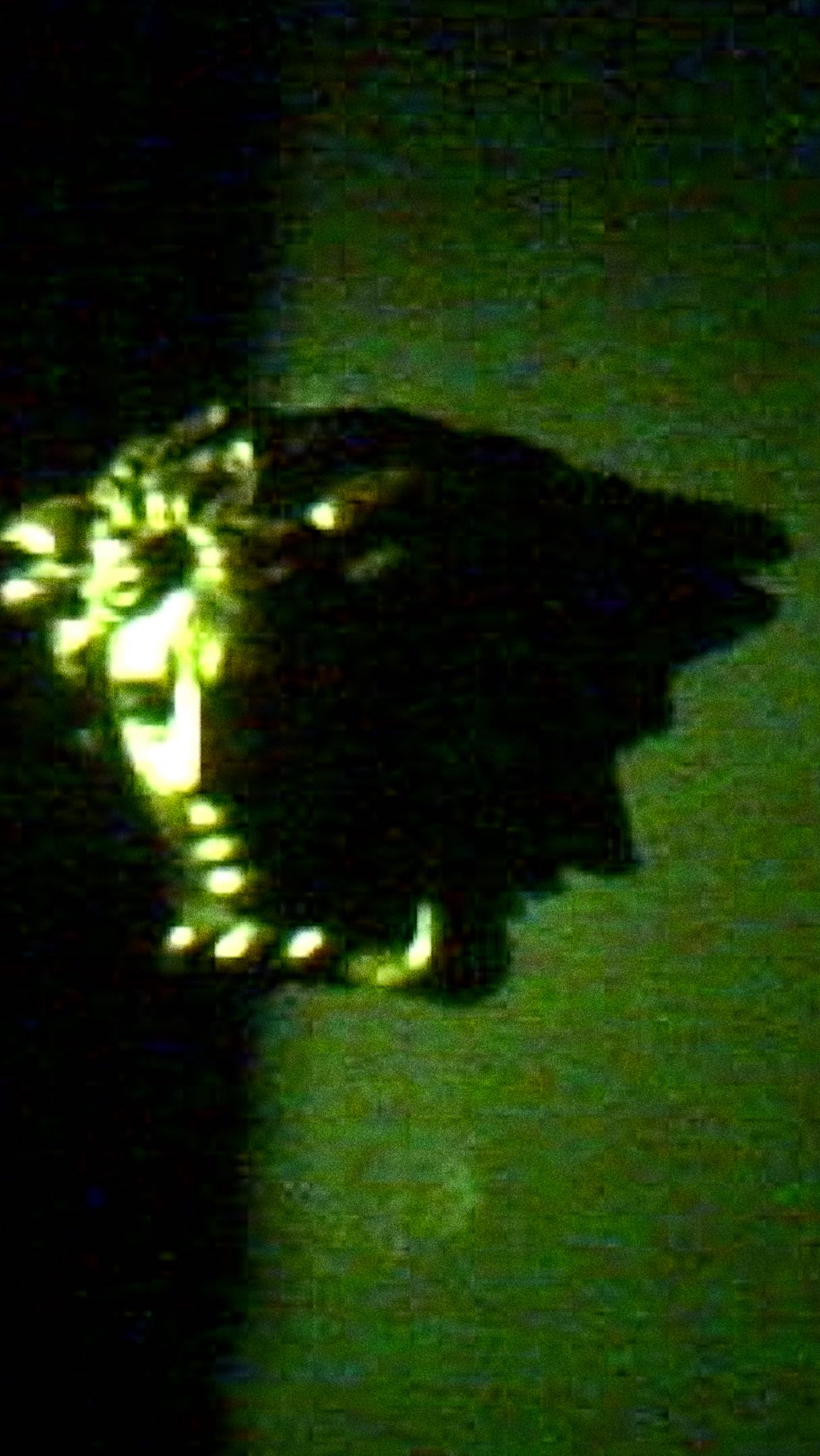 Versace Spring Summer 2026 unveiled at the Pinacoteca Ambrosiana, Milan.