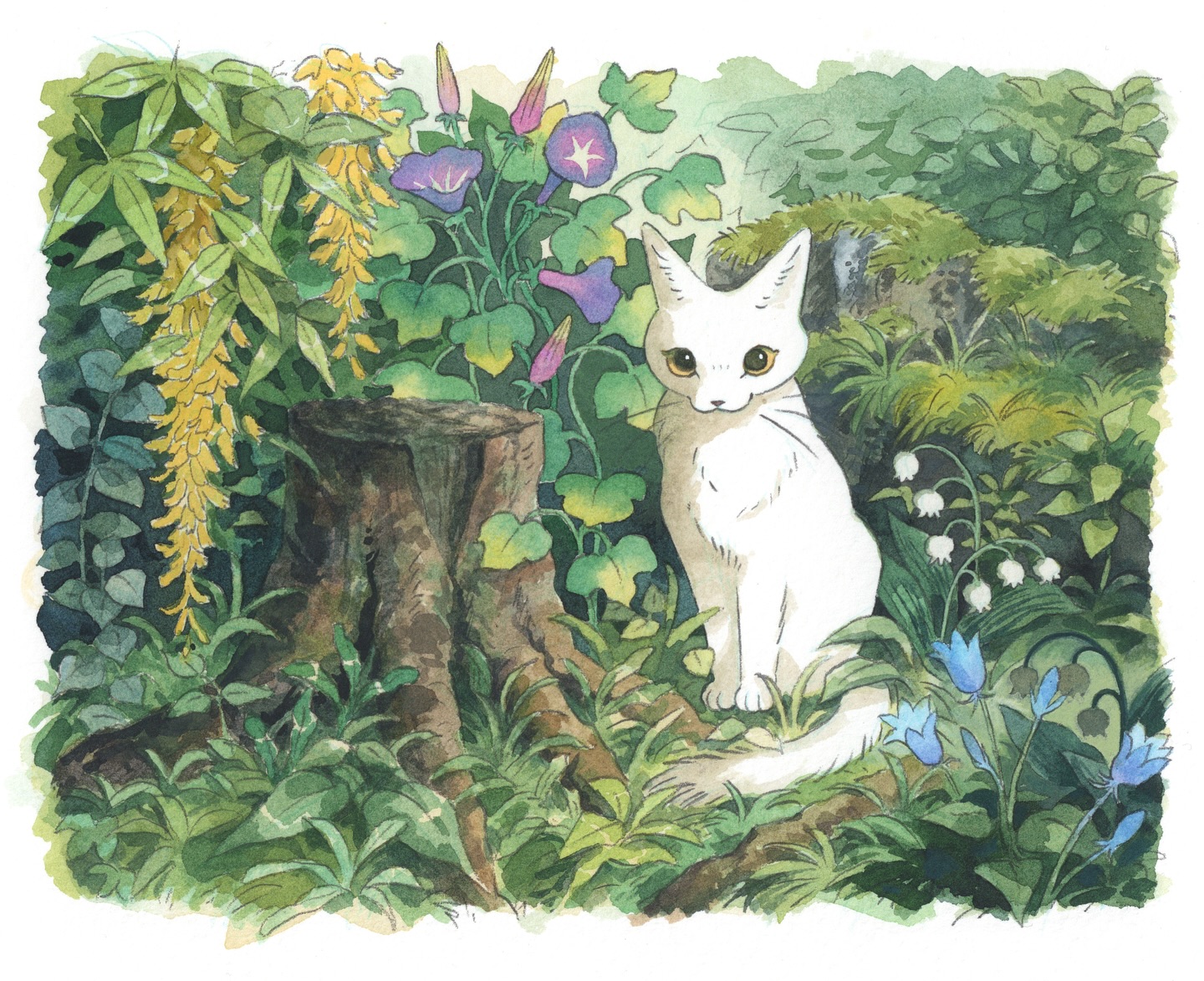 Cat in June 🌱