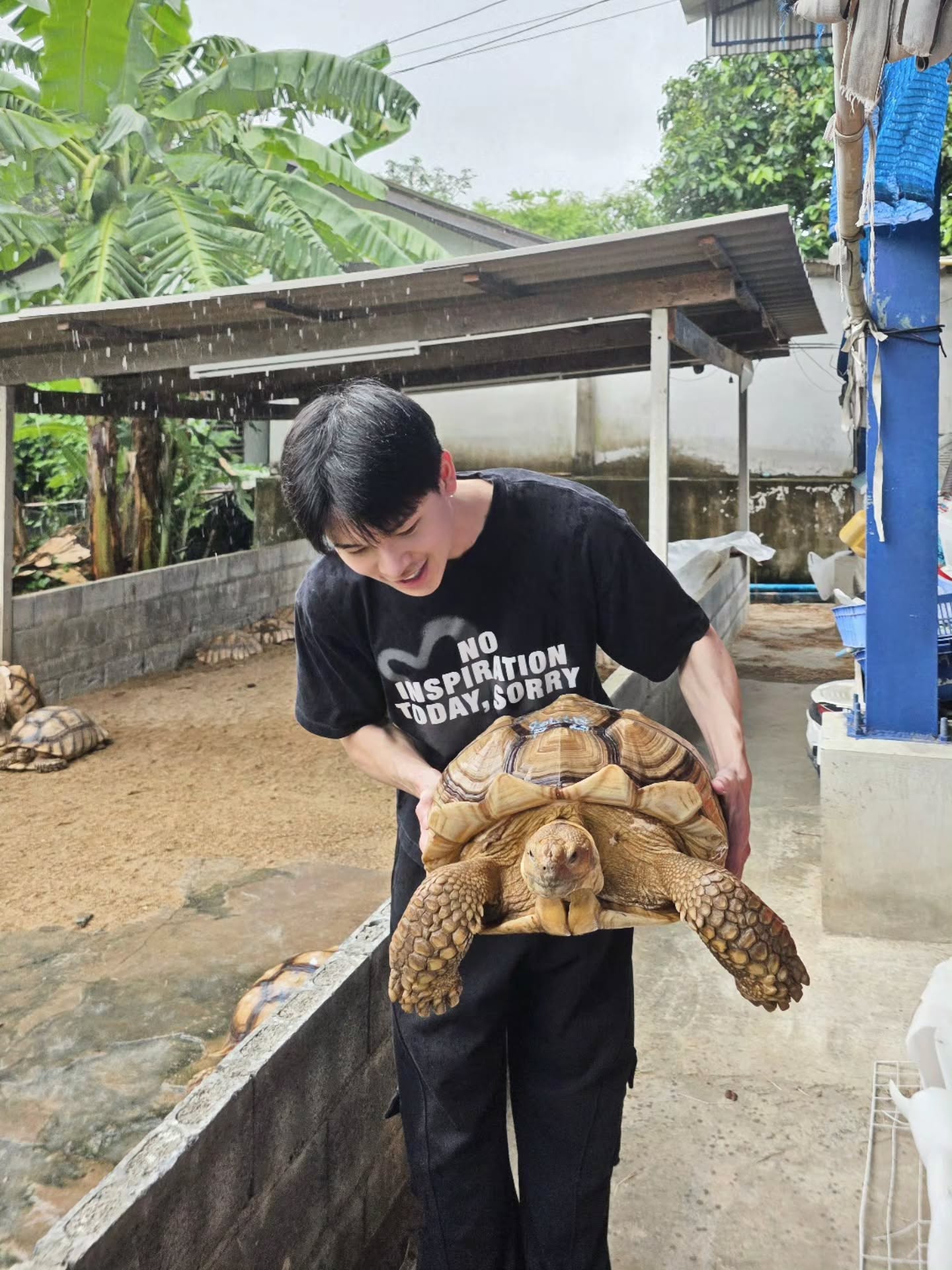 Welcome คอรัส เห็นคิดสั้นเลยรับเอาไปไว้ที่สวนสะเลย