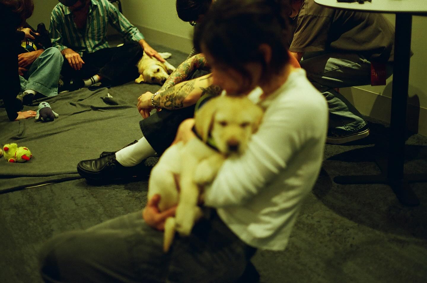 Whoa alternate universe times
Miss you guys 

all @abbywaisler and @gabriellahughes 🔮