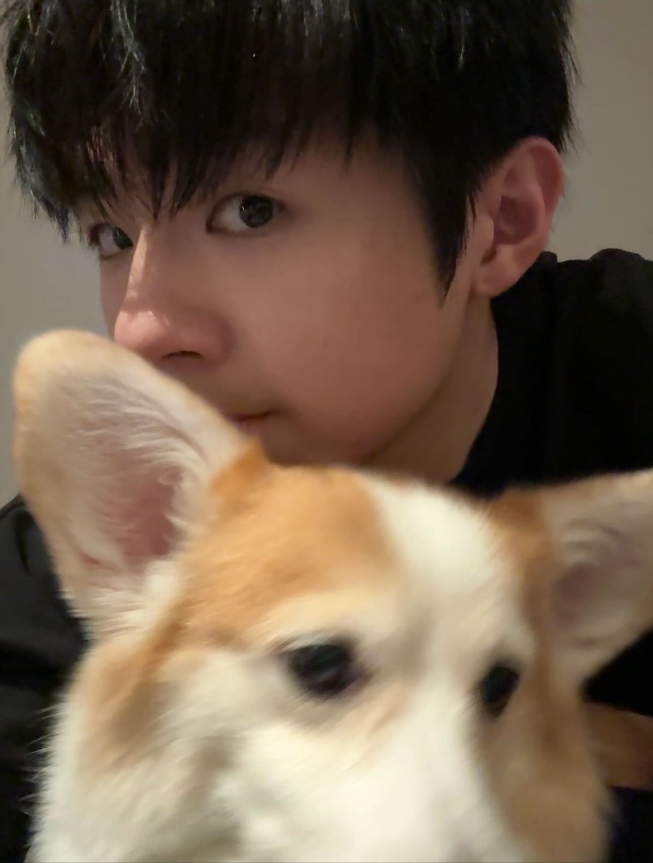 -
回家一刻全過程