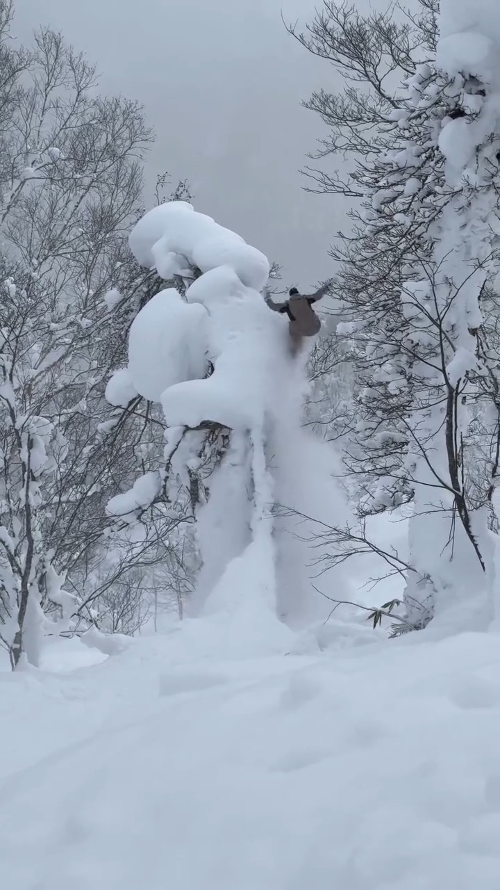 Tree jibbin' to the moon 🚀 

Via @sebby_k_

#XGames #Snowboarding
