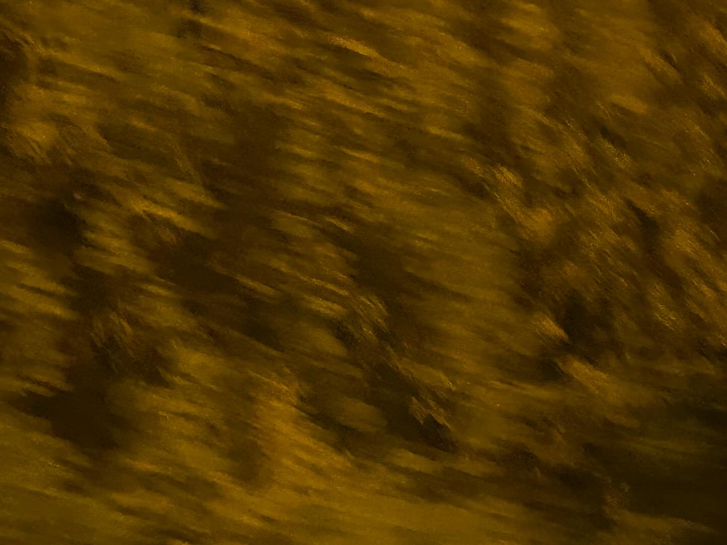 睡吧 记得化成风化成雨化成阳光来陪我 记得来梦里看看我