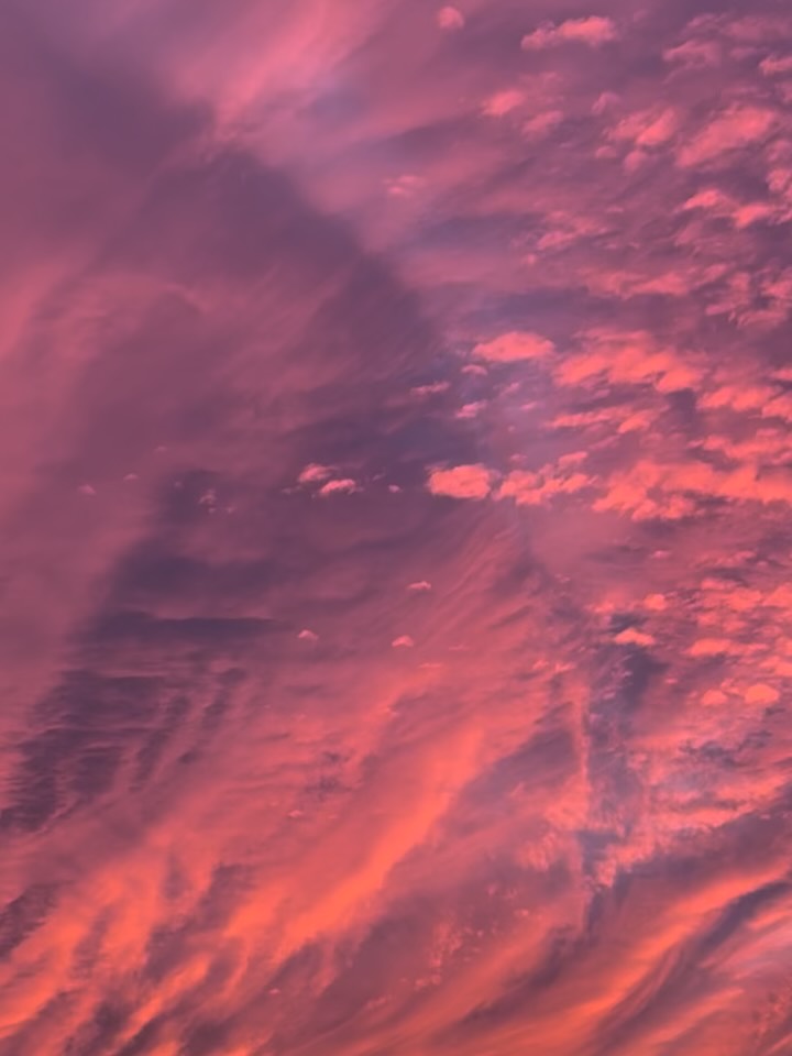 地球じゃないみたい。
秋の空はいいね🍂