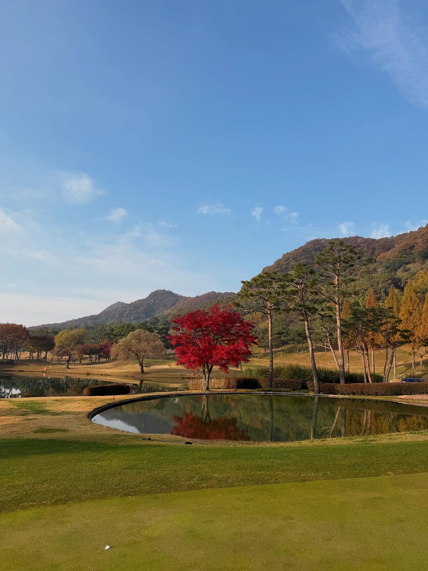 20주년이라고 함께 아침에 얼굴보고 운동하자고 약속했던 시간:) 함께라 감사하고 행복하네요 🍂 활동 기간은 20년 처음 본 시간까지는 26년